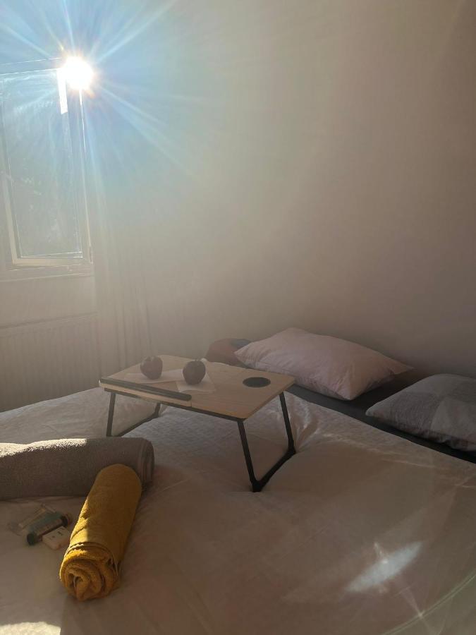 Séjour chez l'habitant Magic Location Ladies Only