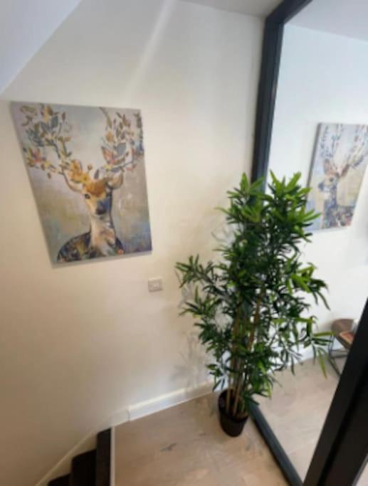 Apartamento In Greater 2 Bedroom *