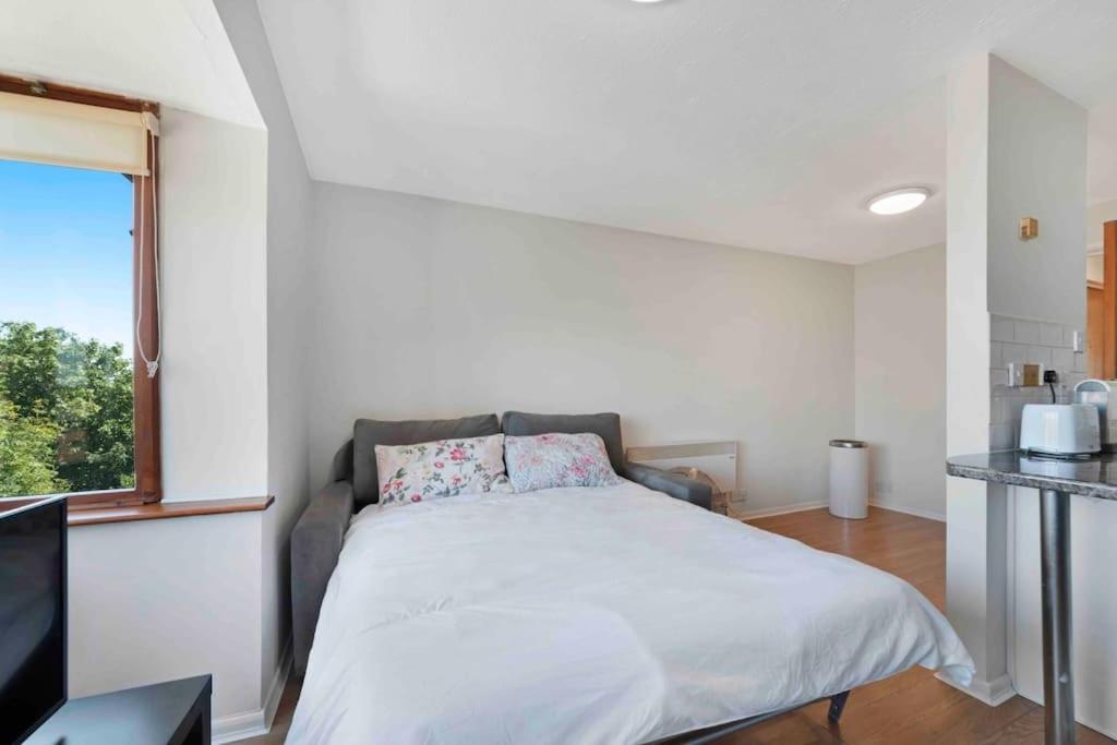Appartement N.acton Quiet Cosy 1 Bed-private Free Parking Londres