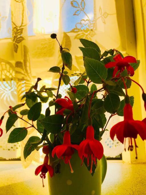 Carpe Diem Flat Near Zone 1 Appartement Londres