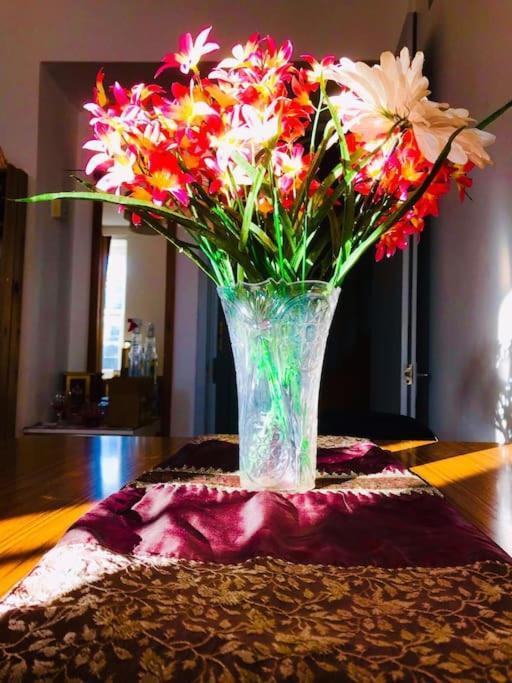 Carpe Diem Flat Near Zone 1 Appartement