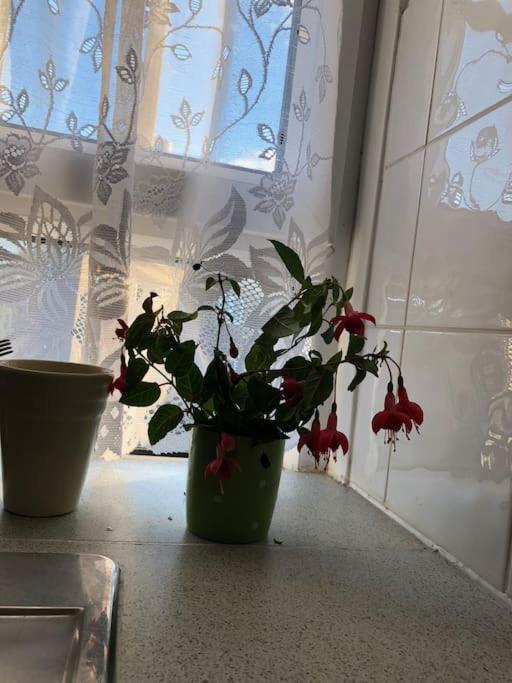 Carpe Diem Flat Near Zone 1 Appartement Londres
