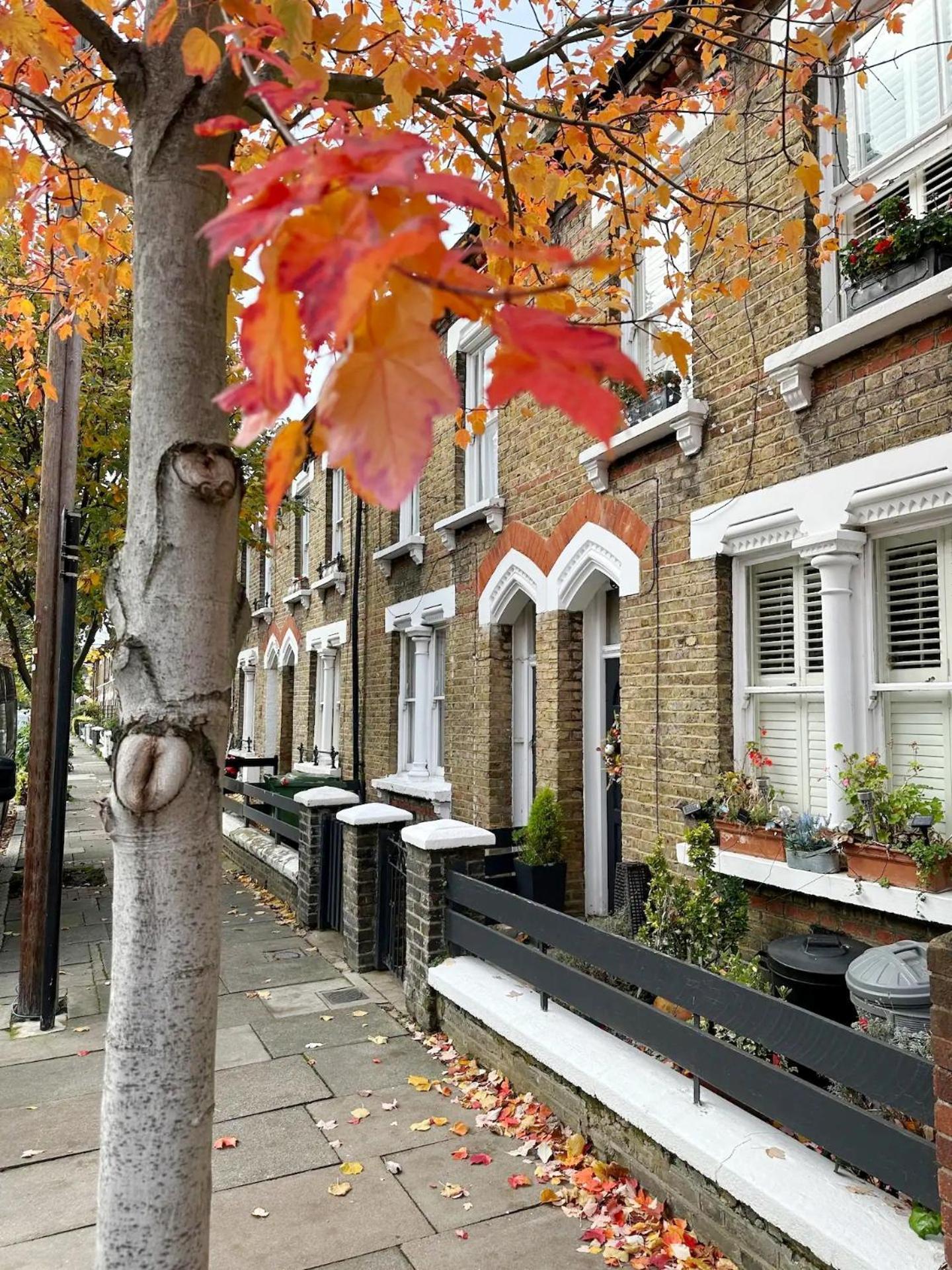 Charming In Battersea Apartamento