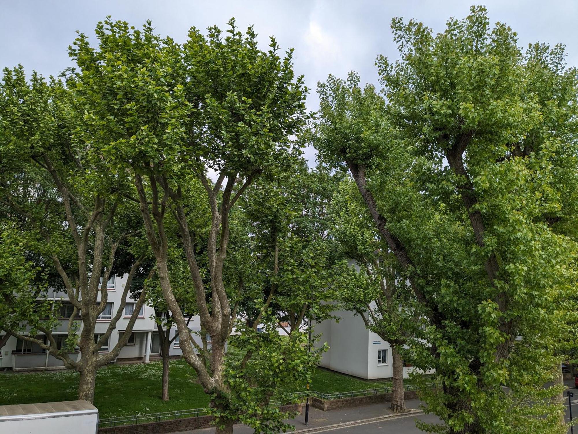 Creatives' House Accommodatie bij particulieren Londen