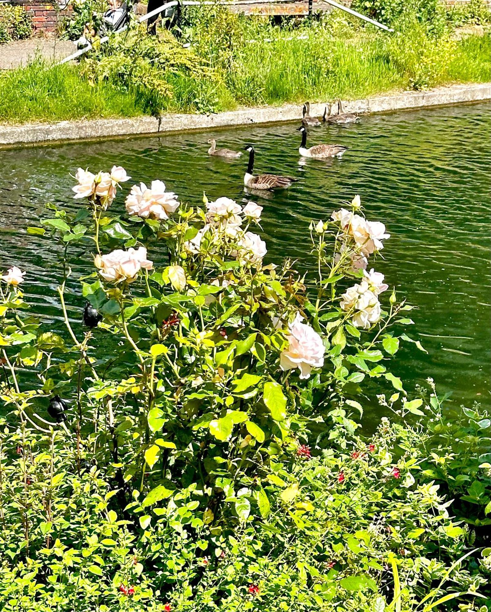 Amazing Location - Of London- 2 Bedroom Stunning Canal View House With Private Garden,parking & Balcony Apartamento Londres