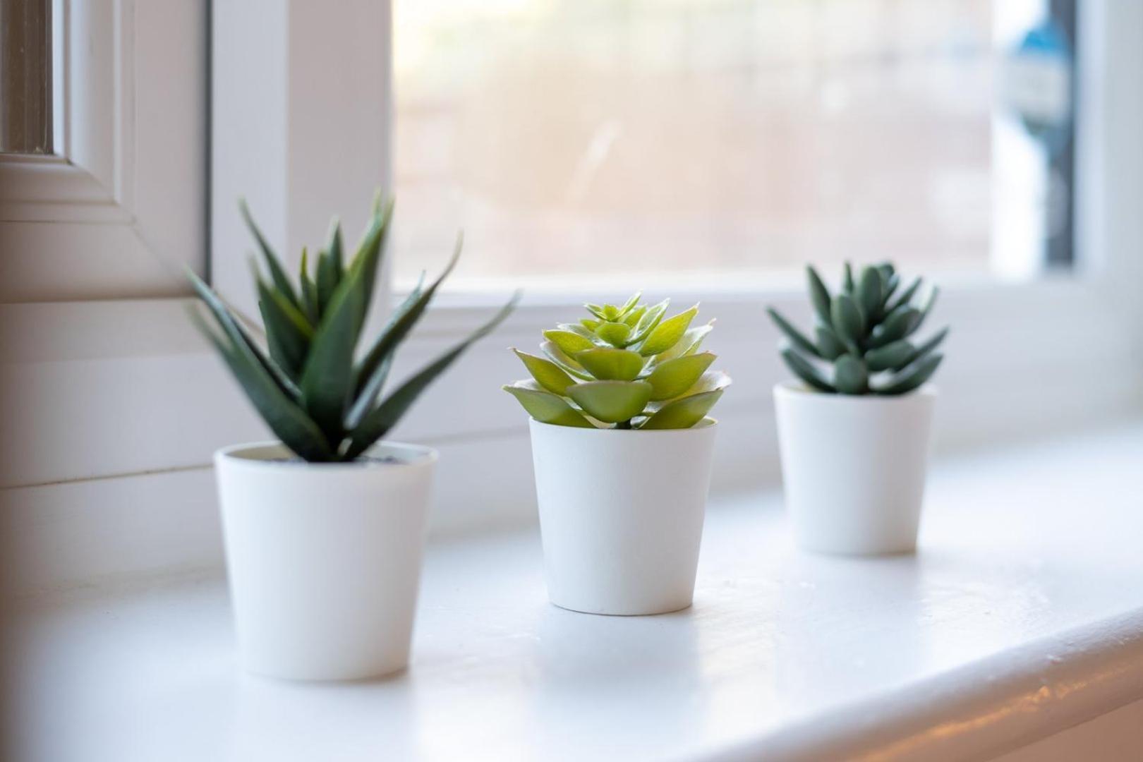 Guestready - Soberbo Moderno Com Jardim Em Kilburn Londres