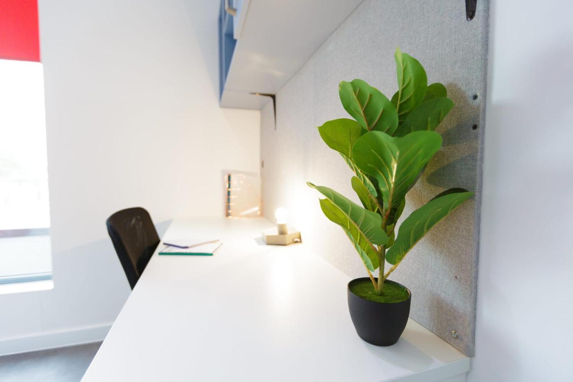 Cosy And Ensuite Bedrooms At New Cross In Apartamento Londres