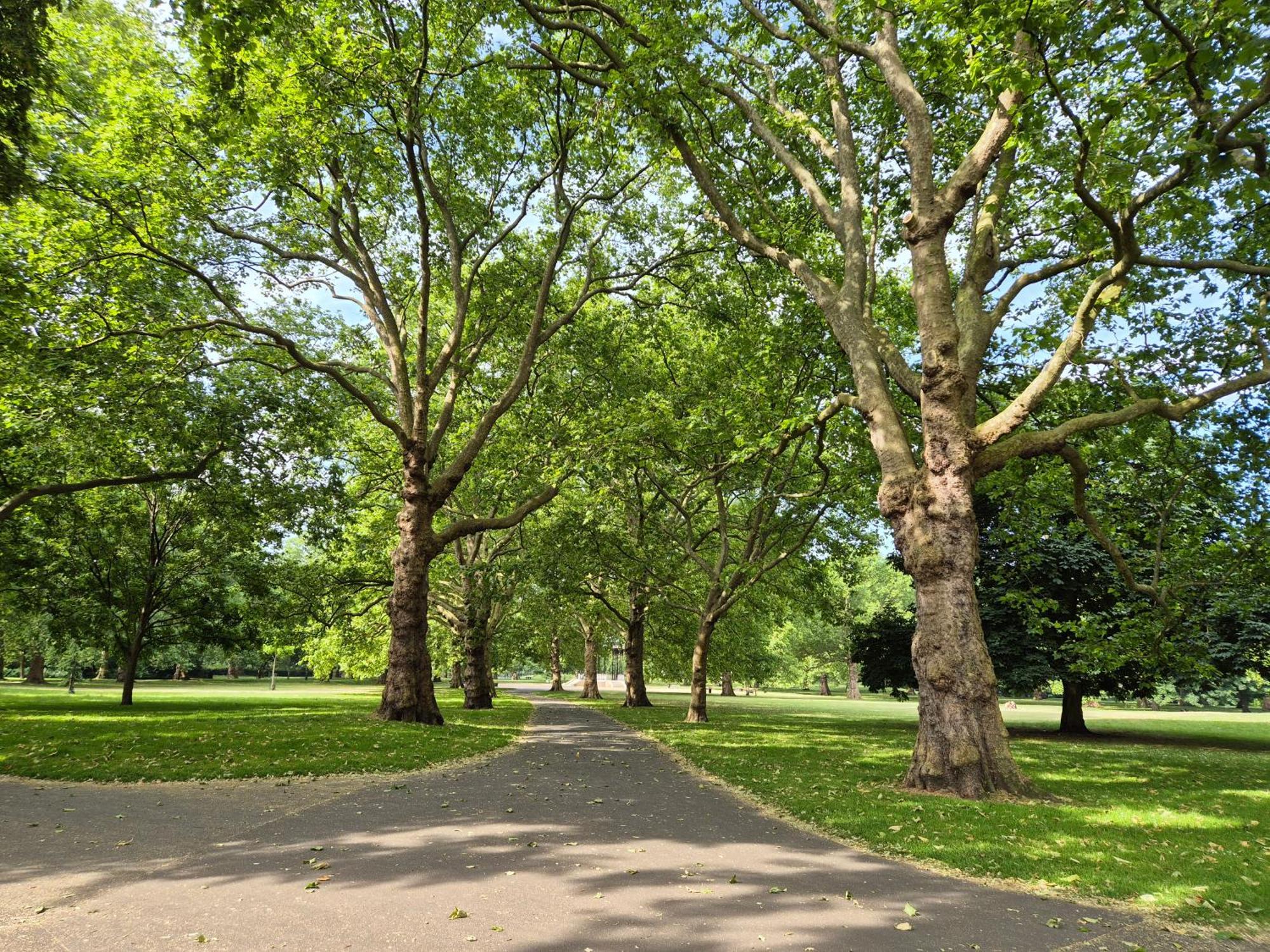 Accommodatie bij particulieren Central With Stunning Views Londen