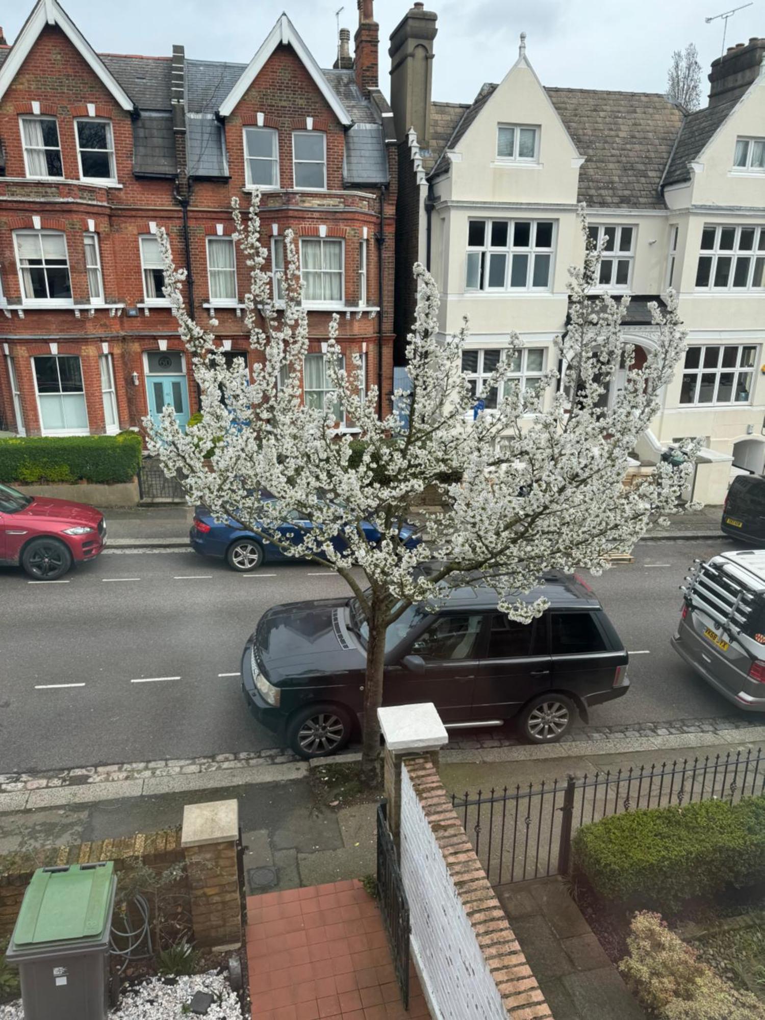 Venlo * Londres