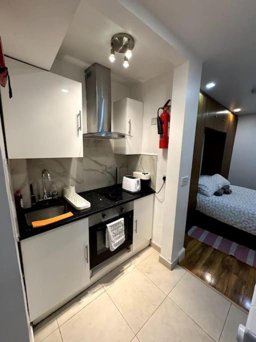 Appartement Lovely Hyde Park Flat *