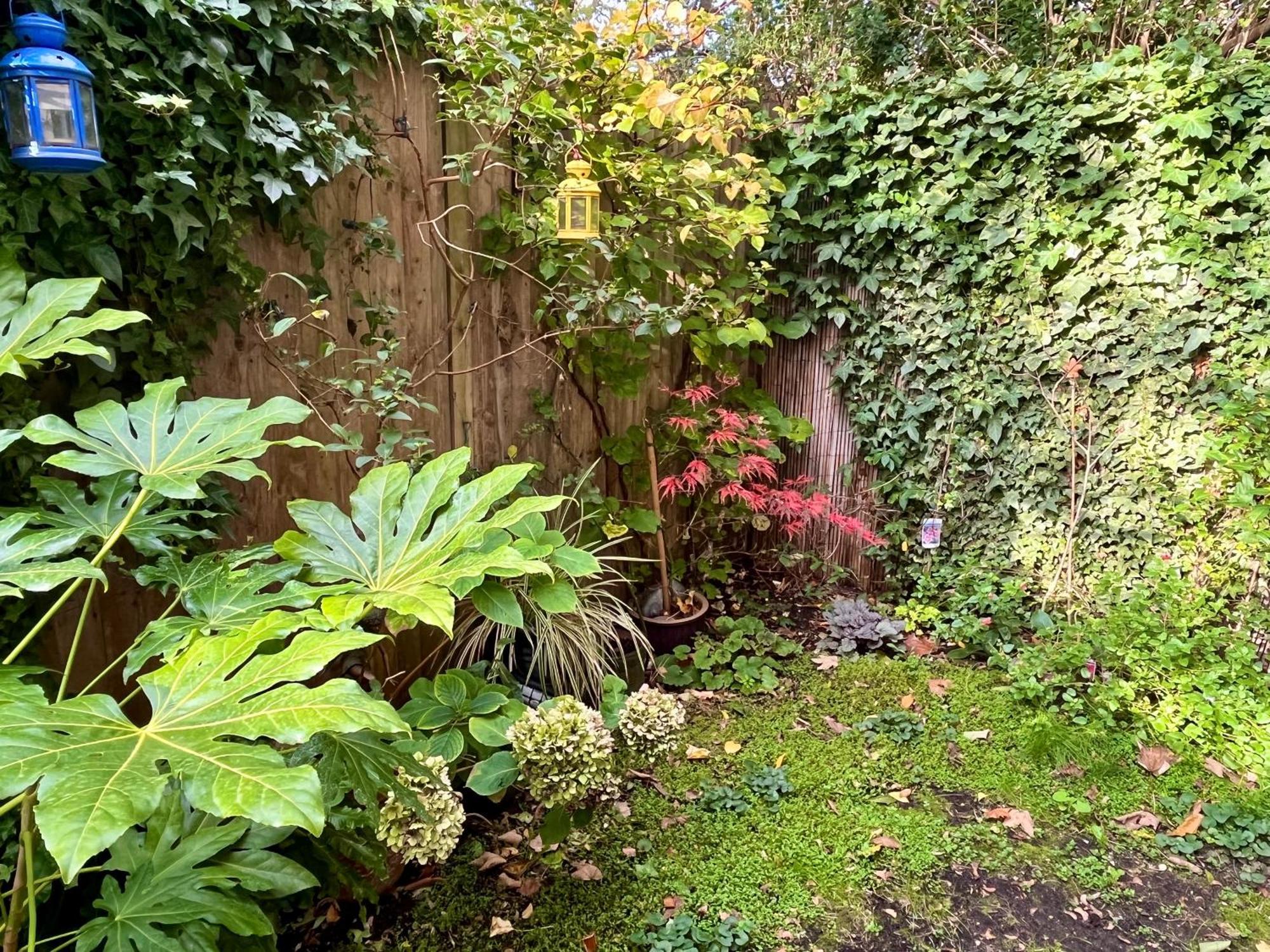 Appartement Cozy 1-br Garden Flat For Up To 4 In East *