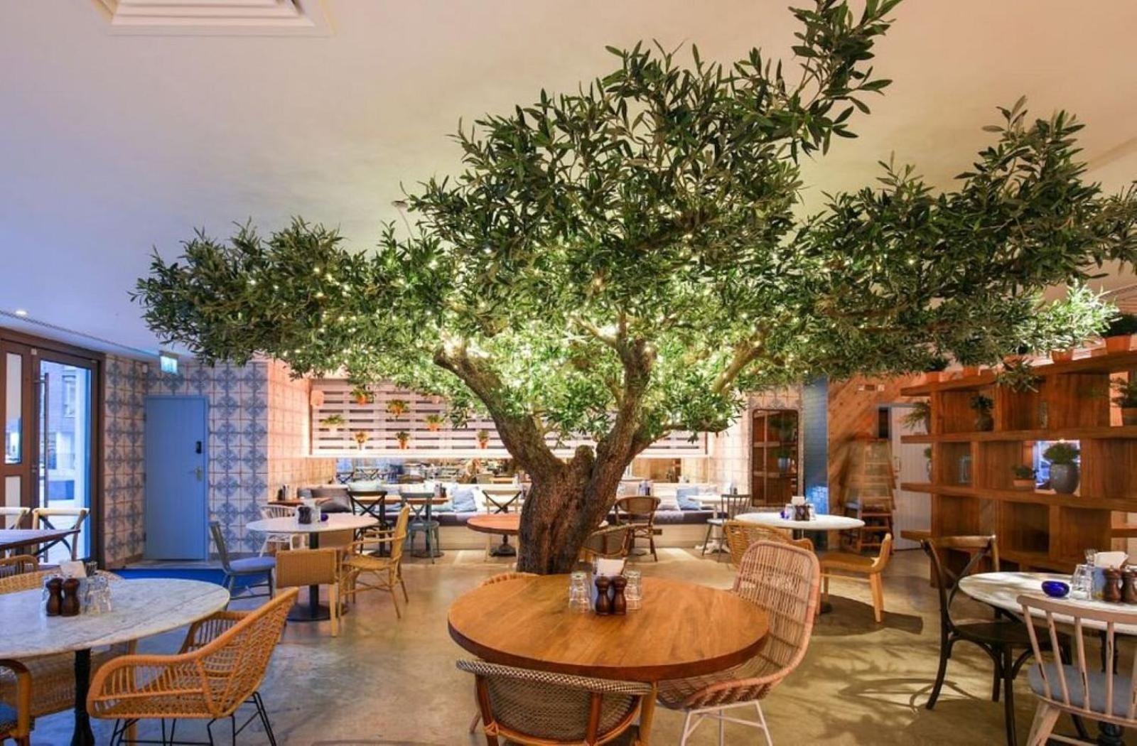 Earthy Elegance Stylish 4br For Urban Escapes Apartment *