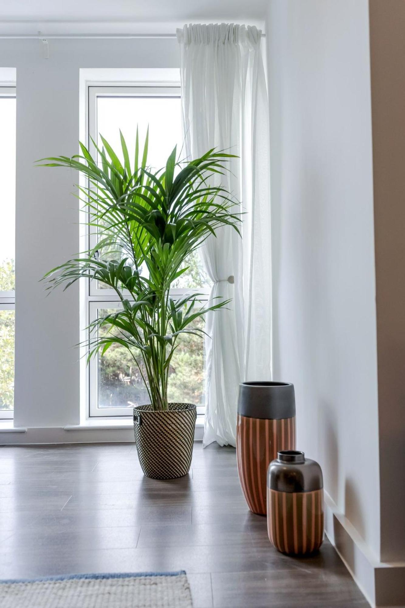 Cozy Olympic Park And Stratford Appartement *