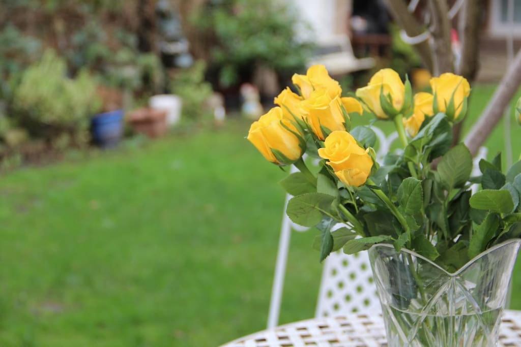Bright Garden Studio! Appartement Londres
