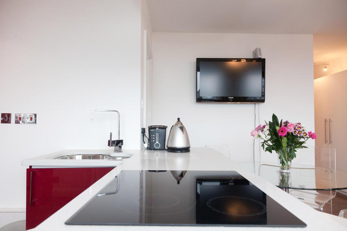 One Bed Flat Piccadilly Circus Appartement