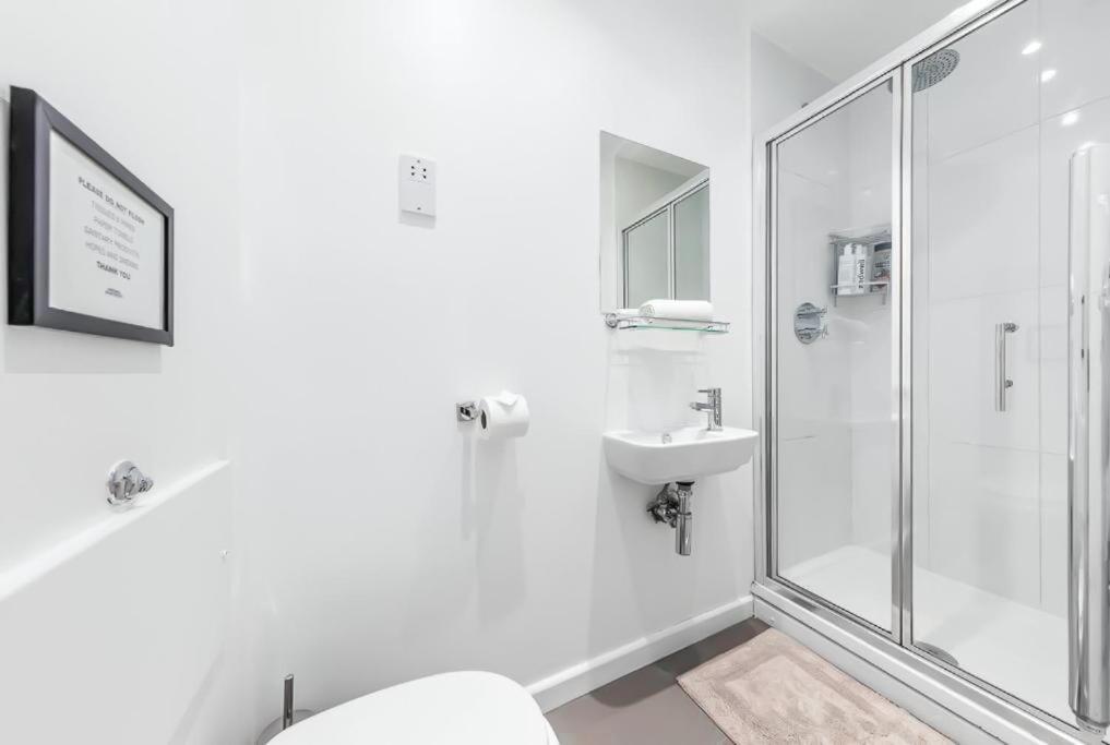 Apartment Stylish In Piccadilly Vr2
