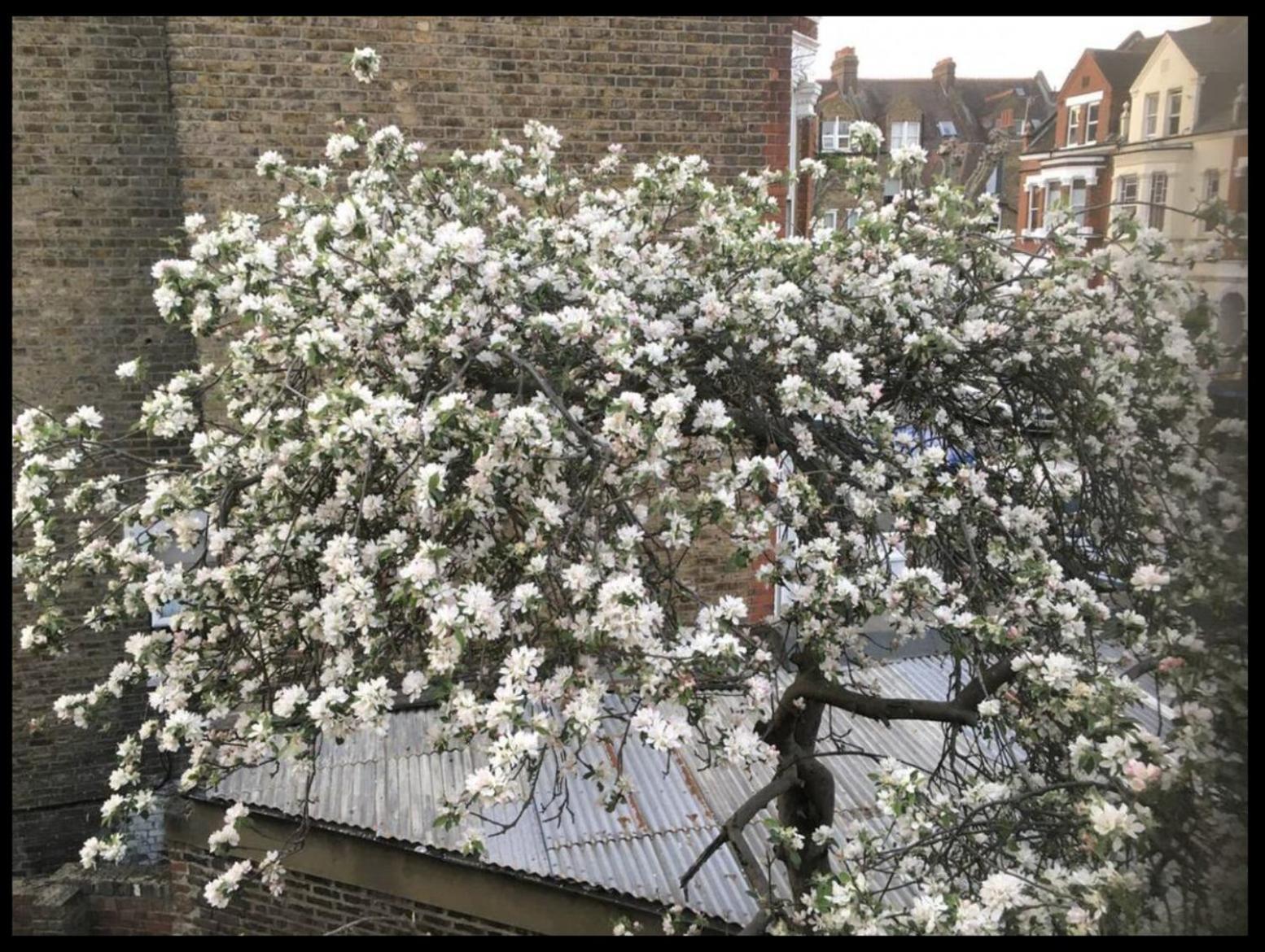 Fabulous Spacious Stylish Private In Nw6 With Excellent Transport Links To Centre, Hosted By Female Currently Taking Bookings For Females & Couples Only, Suitable For Holidays, Study, Work, Courses Or Inbetween Londres