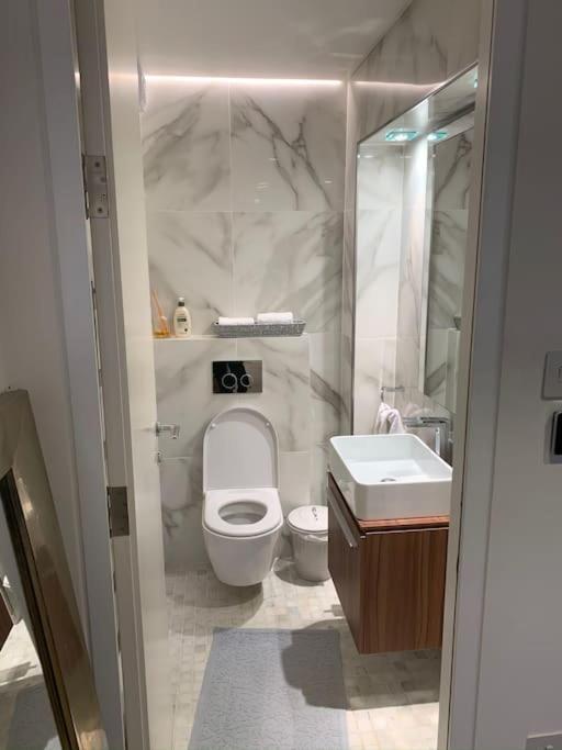 Luxury 2bed Hyde Park Penthouse With Rooftop Appartement Londres