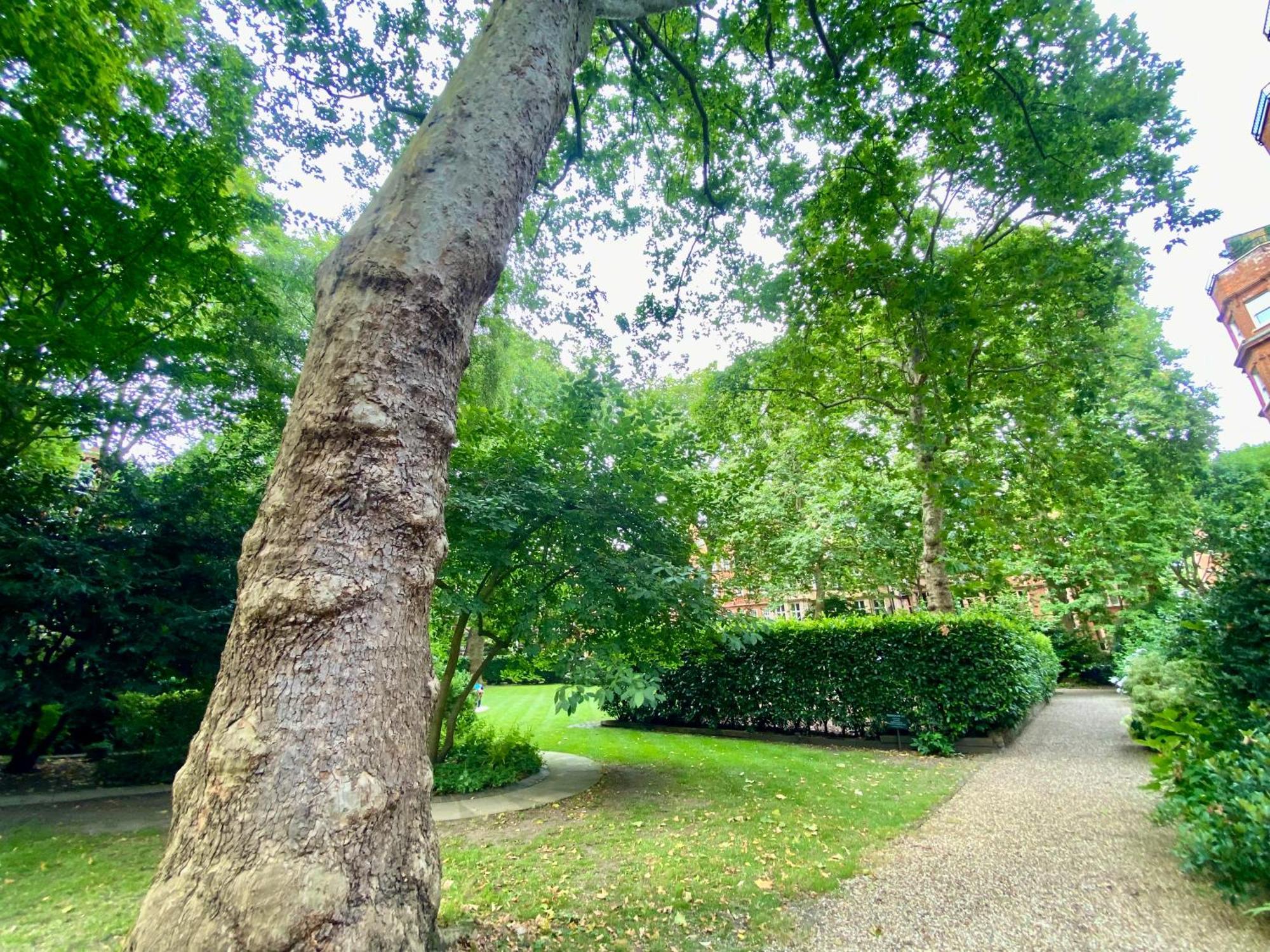 Spacious In Earls Court Appartement *