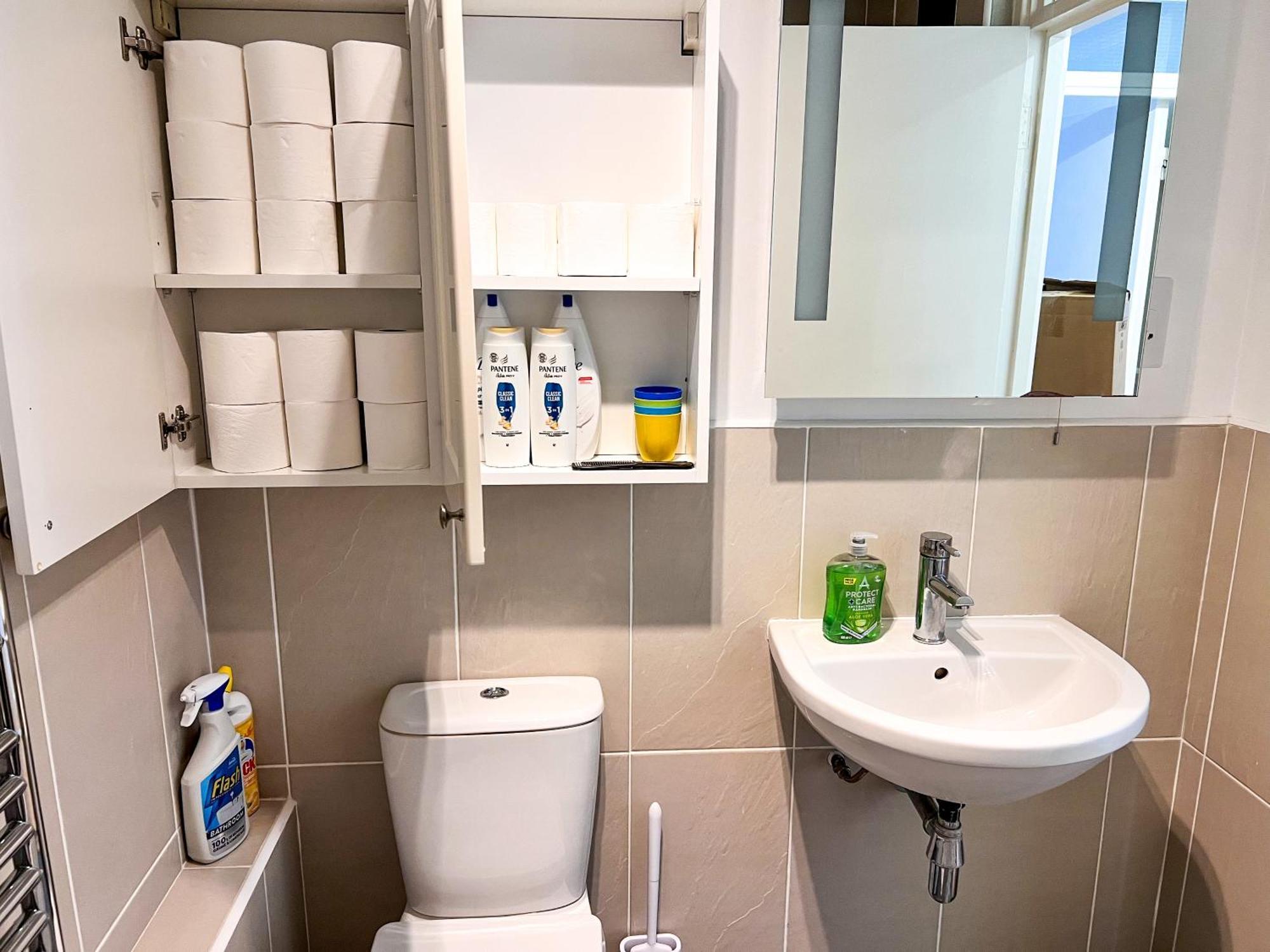 Great River Thames View Entire In The Most Central Aparthotel Londres