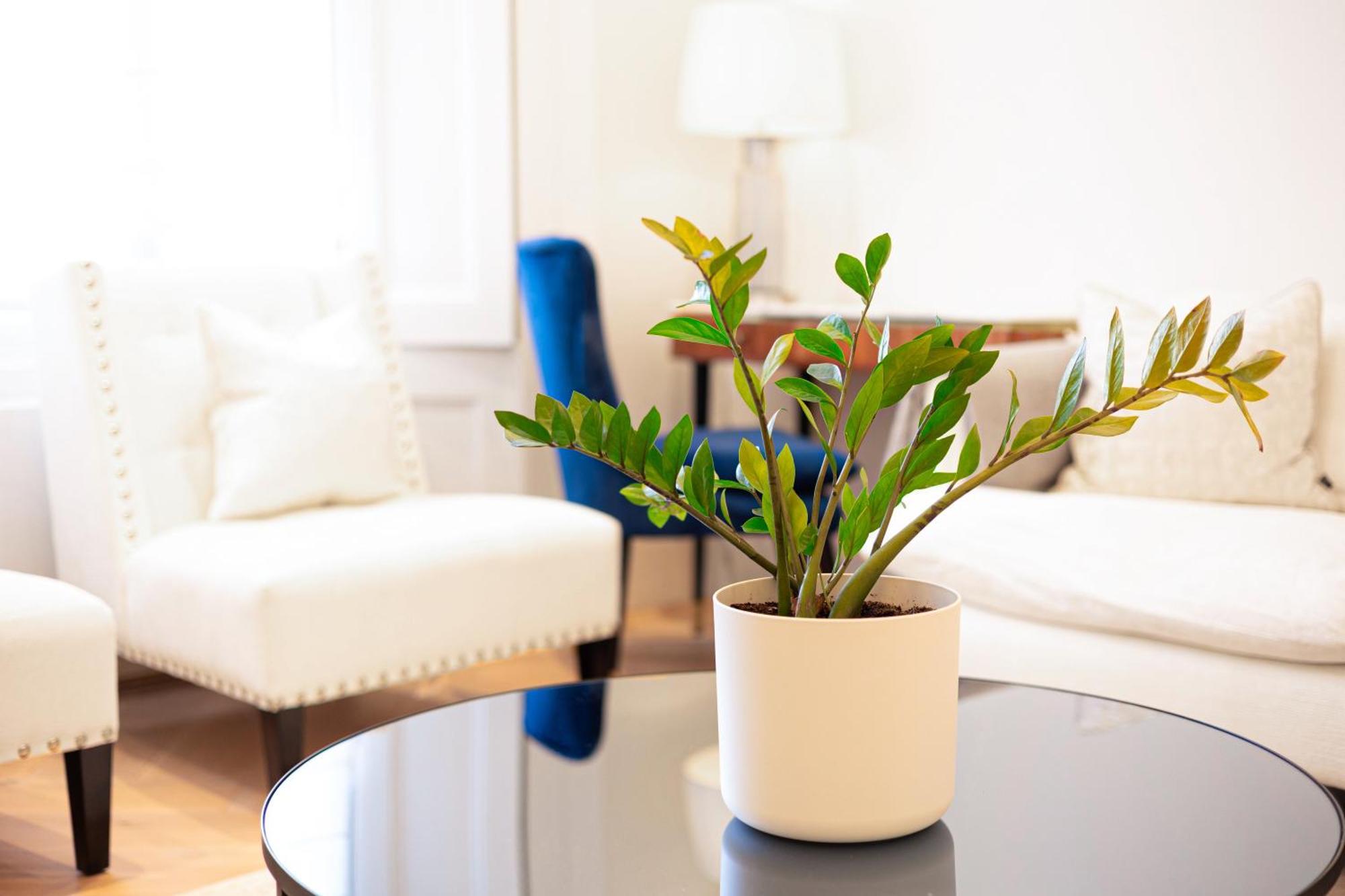 Sunlit 1-br Flat Near Notting Hill Appartement *