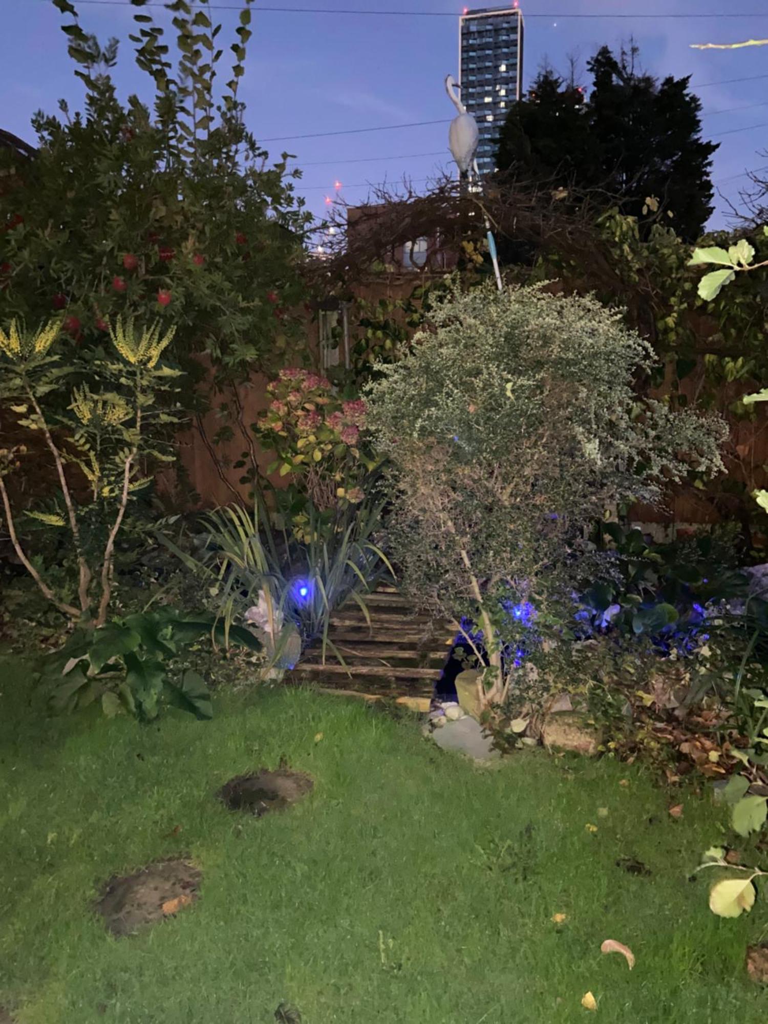 House For 7, Garden With Pond, 20min From Heathrow Hébergement de vacances *
