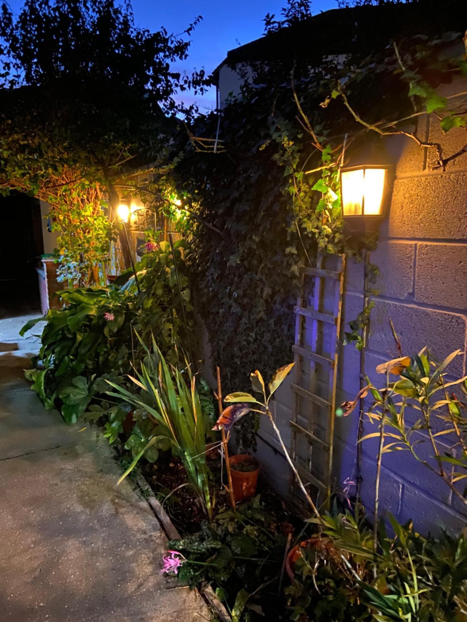 House For 7, Garden With Pond, 20min From Heathrow Londres