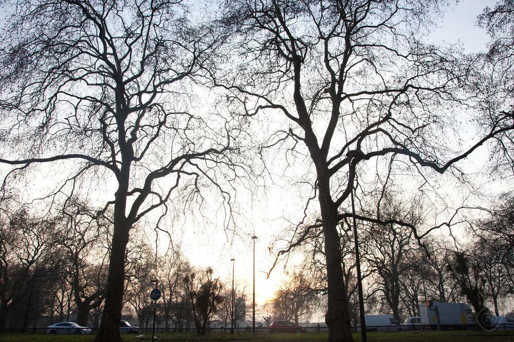 The Mayfair Collections 4* Londres