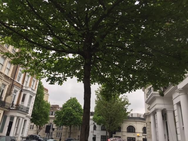 Kensington And Londres