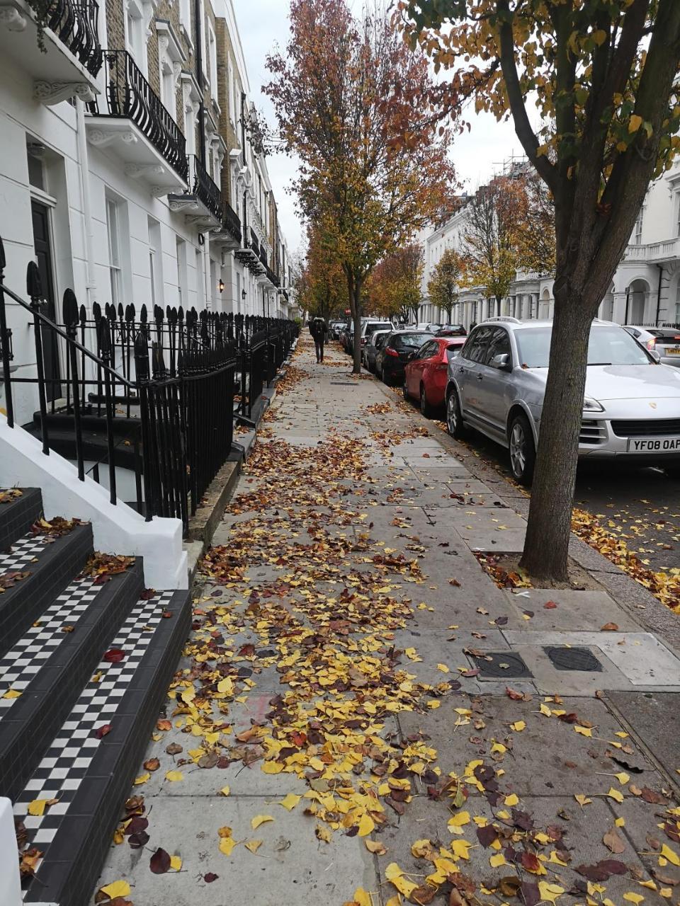 Victoria Style Flat Near Victoria Station *