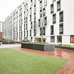 Bronze Studio Plus