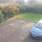 Peaceful Room On Sharing Flat In Wimbledon