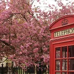 Private Flat In Heart Of London