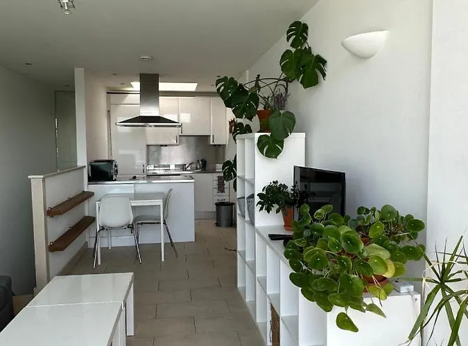 Bright And Airy Islington Apartment