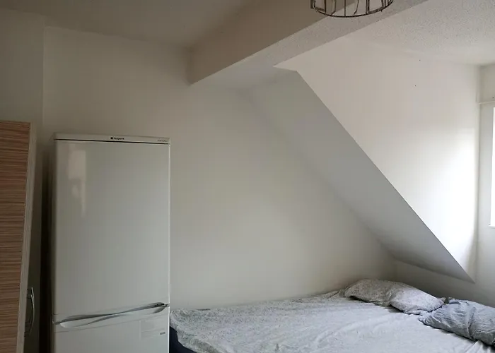 Rex Gaf