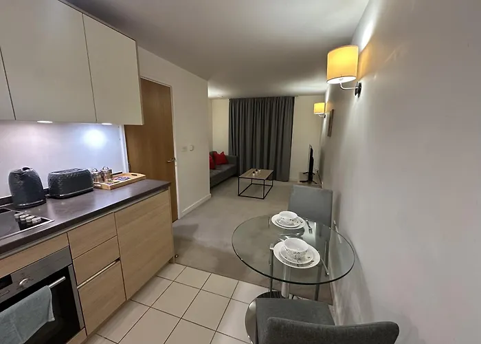 One Bedroom Apartment Next To Wembley Staduim