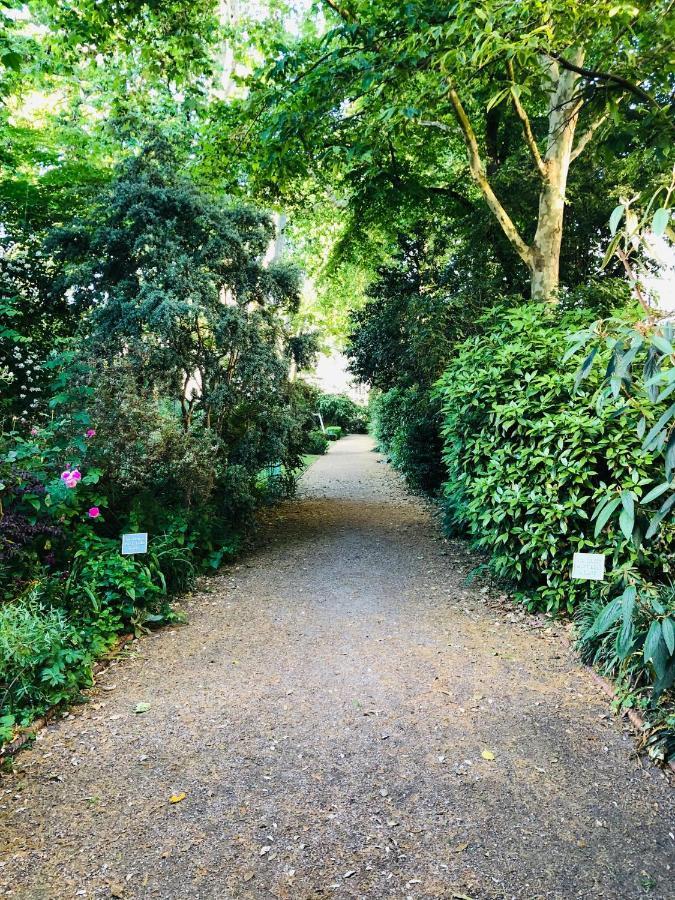 Southern Belgravia Londen