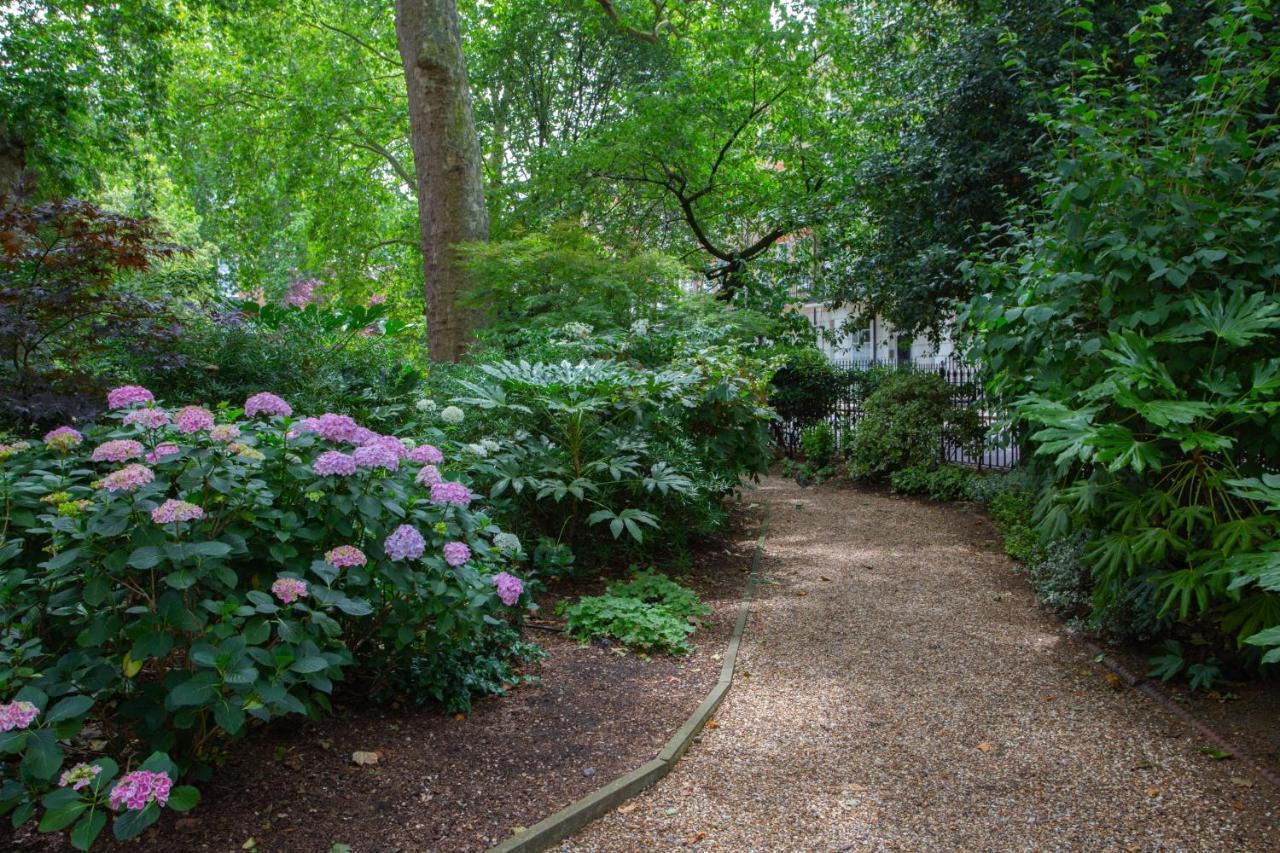 Montagu Square Vi By Onefinestay *