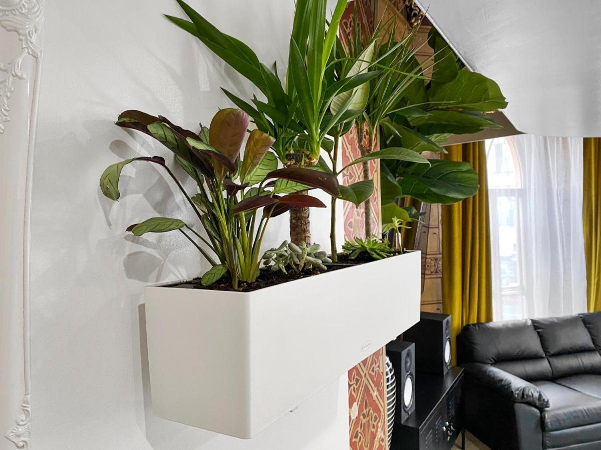 Apartment Rare 1-bed Church Converted In
