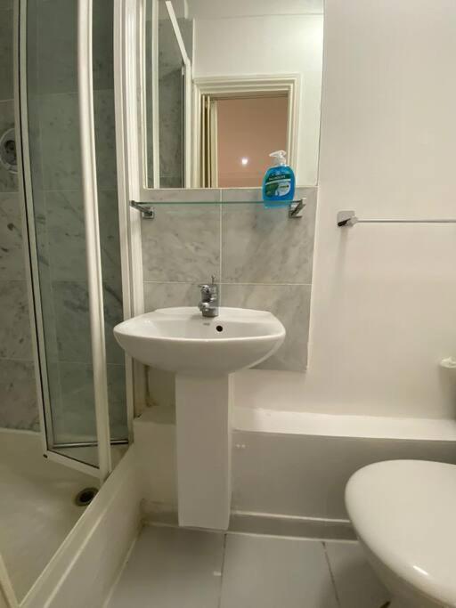 F2- Basement Fits 1 Near Paddington