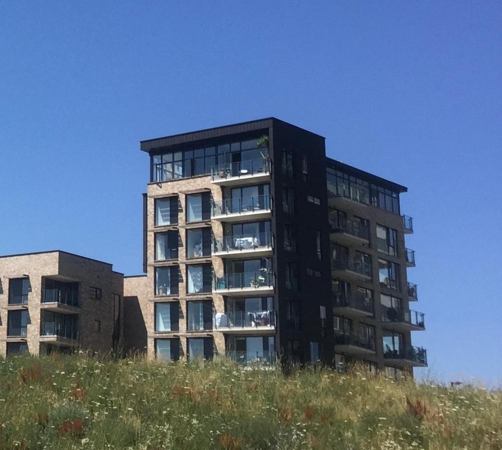 Burgess Park Penthouse Homestay *