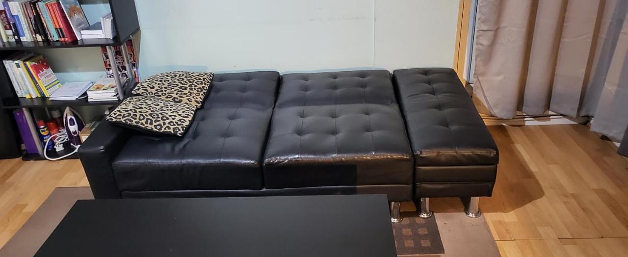 Double In A Cosy Flat In Tooting Accommodatie bij particulieren