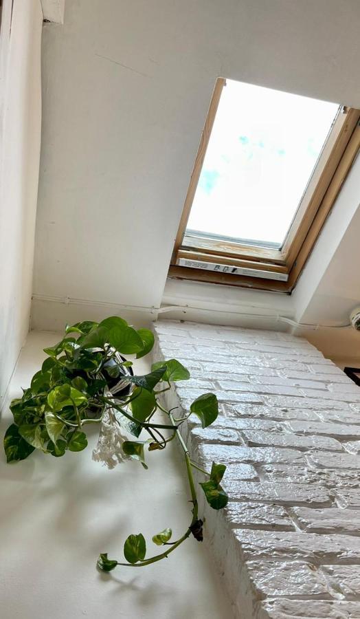 Charming Primrose Hill Studio Near Train Station London