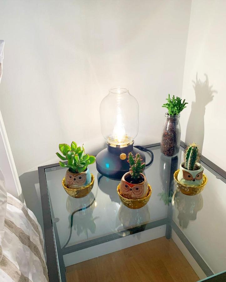 Garden Beautiful Cozy Flat , Recent Decorated. Apartment