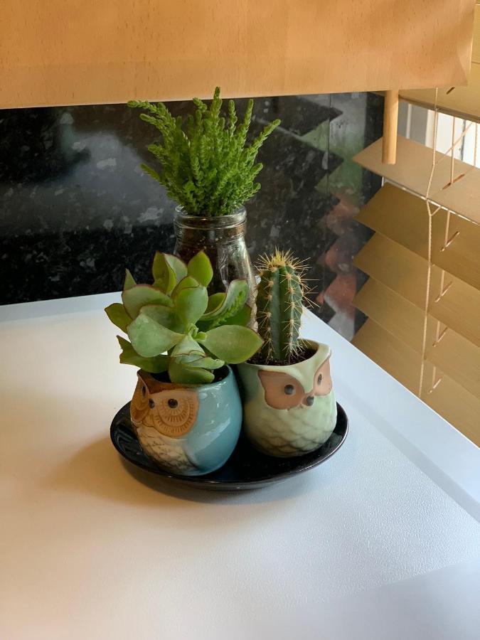 Garden Beautiful Cozy Flat , Recent Decorated. Apartment *