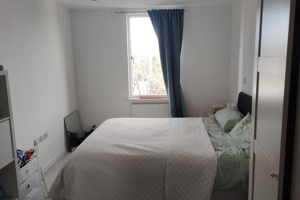 Appartement Cosy And Spacious In Forest Hill Londres