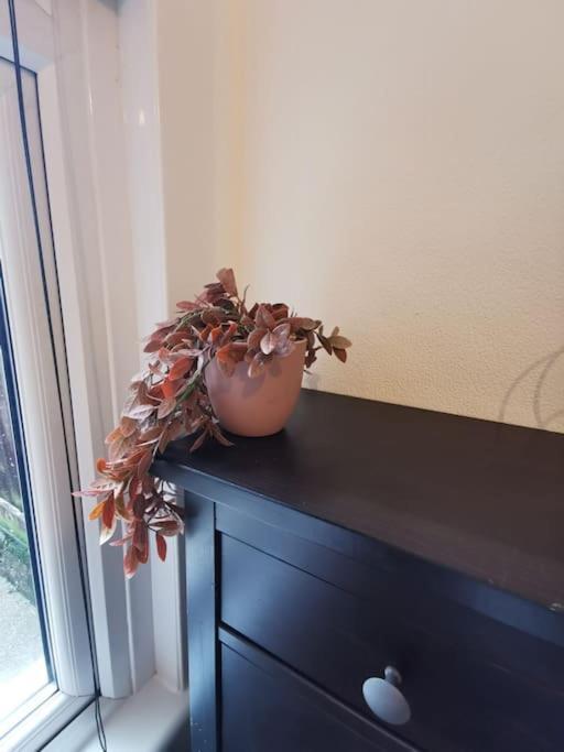 Lovely 1 Bed Flat In Trendy Peckham Appartement