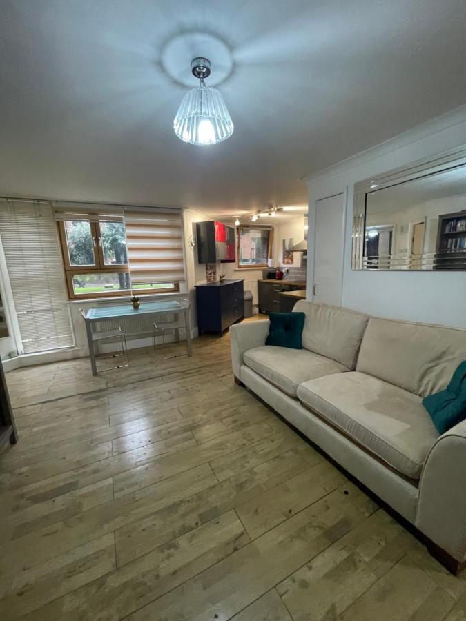 Amazing Chelsea Next To The River Apartment London