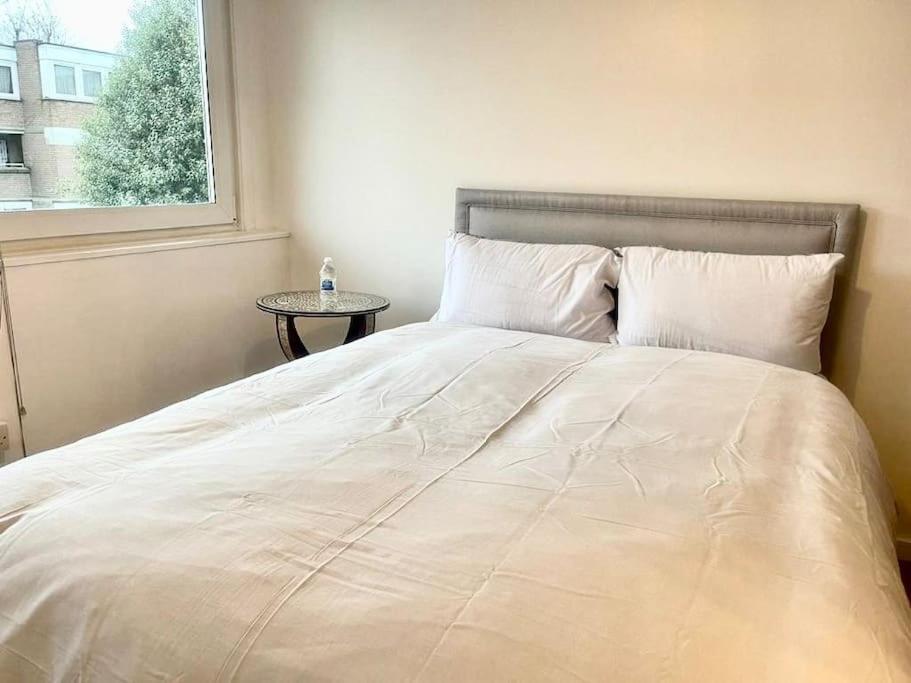 Newly Renovated 2 Bedroom Apartamento Londres