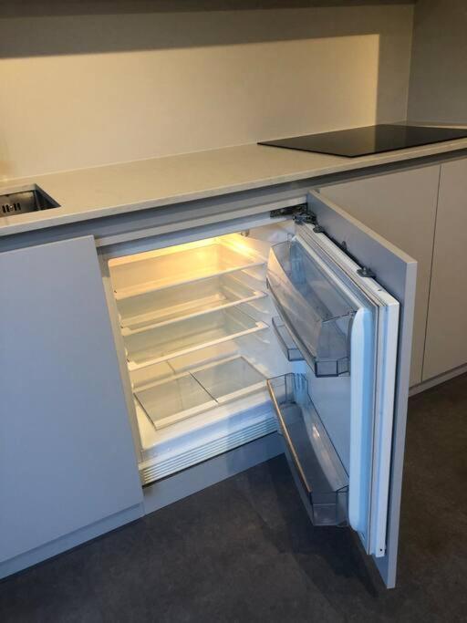 Apartamento Brand New Studio Outhouse Putney Sw15 *